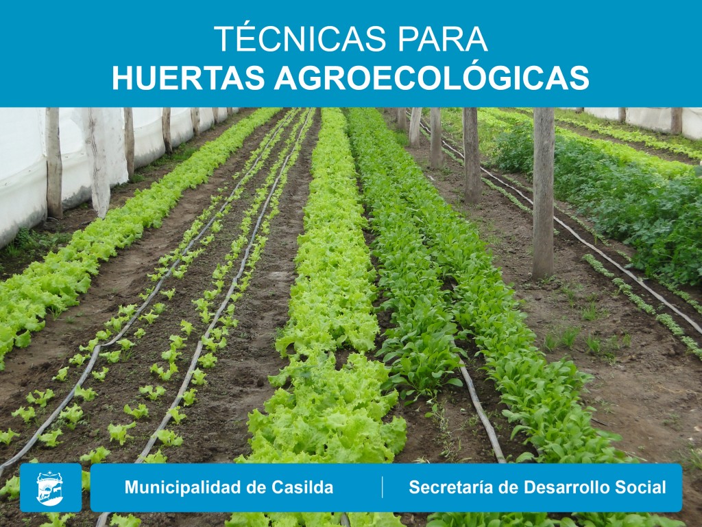 Técnicas para huertas agroecológicas